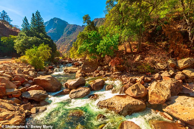 Sequoia and Kings Canyon National Parks in California typically see more than a million visitors per year and have 1,213 campgrounds