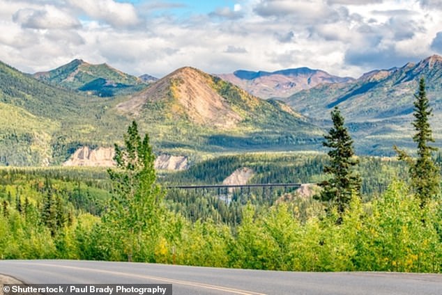 Denali National Park & ​​Preserve is a small location in Alaska with 28 trails and 241 campsites. Visitors often hike off-trail