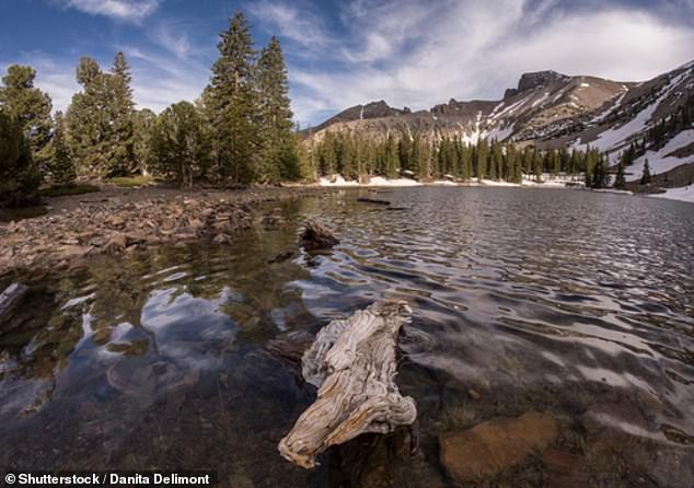 Great Basin National Park had 143,265 visitors last year and is one of two locations on this list that does not charge an entrance fee