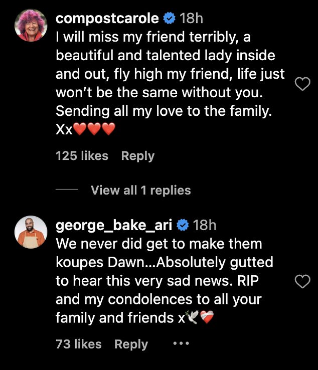 Numerous TV stars and fellow bakers took to Instagram and flooded the latest post with touching comments as they paid tribute to Dawn