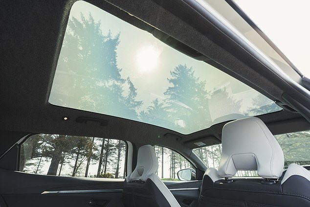 Light streams in through a panoramic glass roof that can be made opaque or clear as desired