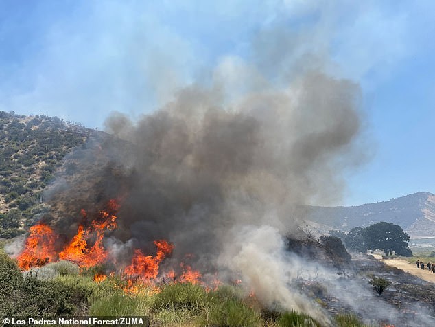 Aftermath images also show giant plumes of smoke rising from the forest as branches continue to burn to ash