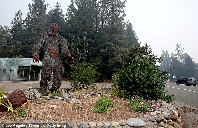 A metal sculpture of Bigfoot welcomes visitors to the small community of Happy Camp in the Klamath Forest