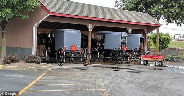 The parking spaces for horse and carriage are spacious and equipped with covered stables for the animals