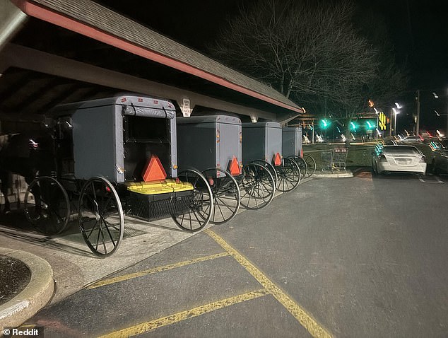 A photo taken at the Costco in Lancaster, according to Reddit users, shows horses and carriages parked next to each other