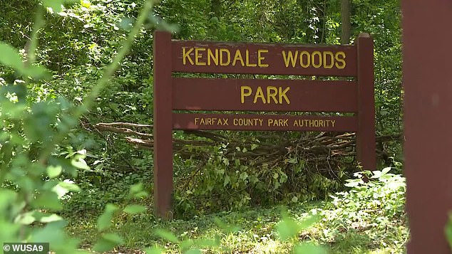 Fairfax County Park Authority workers dismantled pickleball nets during a game at Kendale Woods Park, prompting protests from some players