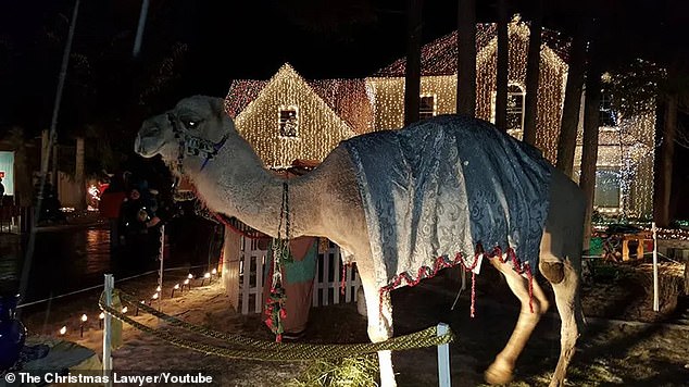 Despite legal threats from the Homeowners Association, he continued with his elaborate light show, a live nativity scene and even a camel