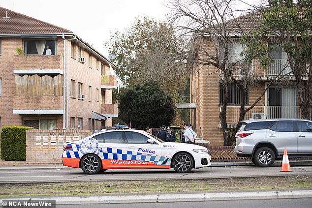 Officers from the Nepean Police Area Command attended the scene