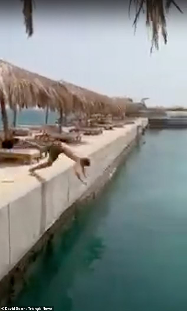 He had made the move dozens of times before, most recently during a holiday in Egypt in September (pictured), but this time he landed head first on the water