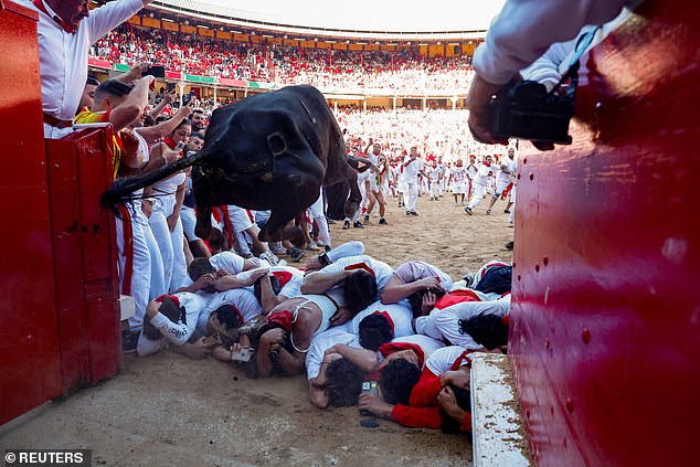 Participants covered their heads as the bull jumped over them as he was driven into the arena