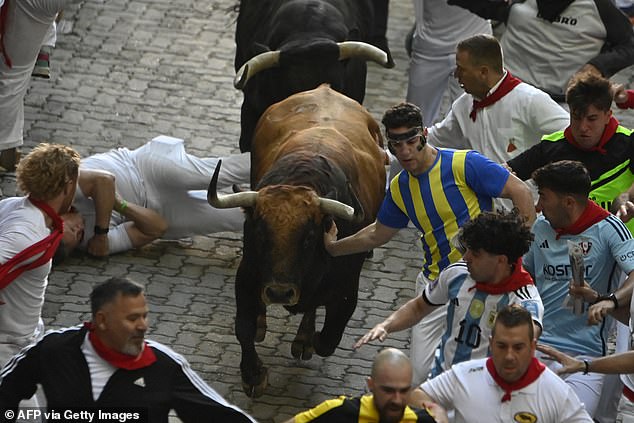 Participants run for "Beef Goat" bulls during the "turning back" (bull running) of the San Fermin festival in Pamplona