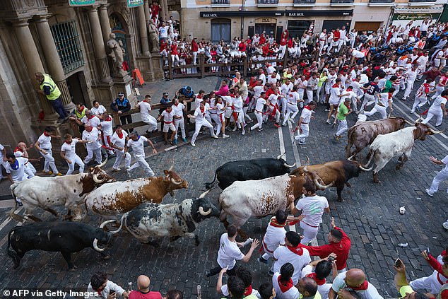 Participants run for "Beef Goat" bulls during the "turning back" (bull run) of the San Fermin festival