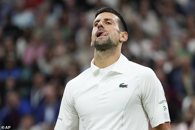 Djokovic was irritated by the Wimbledon crowd throughout the match and did not accept a BBC interviewer's explanation that they had merely supported his opponent.