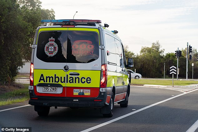 The girl's injuries were so severe that she was airlifted to a Townsville hospital for facial reconstruction.