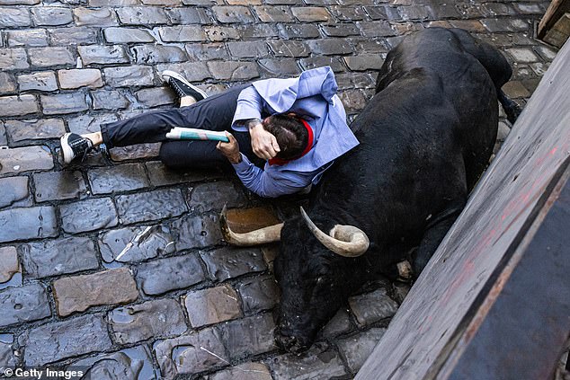 Revelers surround a wild cow during the San Fermin festival