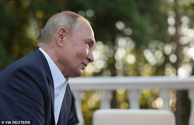 Russian President Vladimir Putin attends a meeting with Indian Prime Minister Narendra Modi at the Novo-Ogaryovo state residence near Moscow