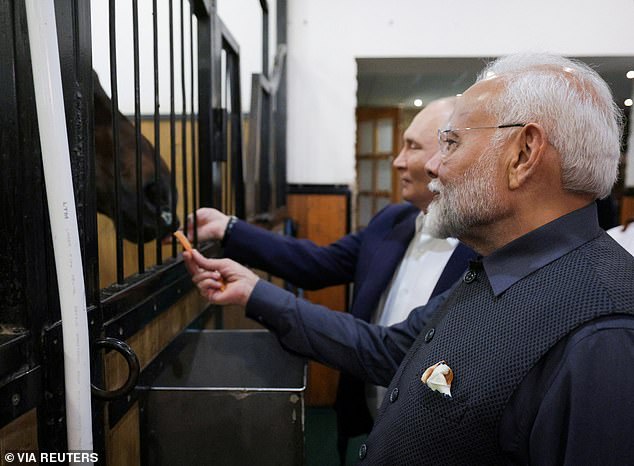 Russian President Vladimir Putin and Indian Prime Minister Narendra Modi visit a horse stable during their meeting