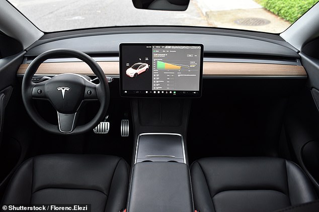 Teslas can accelerate faster than other cars and are popular among younger drivers