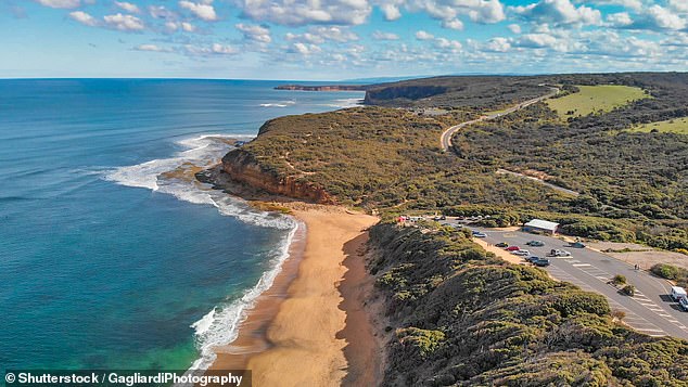 Visitors would face parking charges at many of the Great Ocean Road's scenic beaches, under the proposal