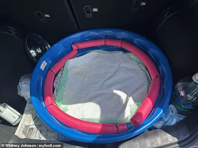 All seven were in a small kiddie pool under one of the seats with a cover over it, with the car off and the windows up, police alleged.