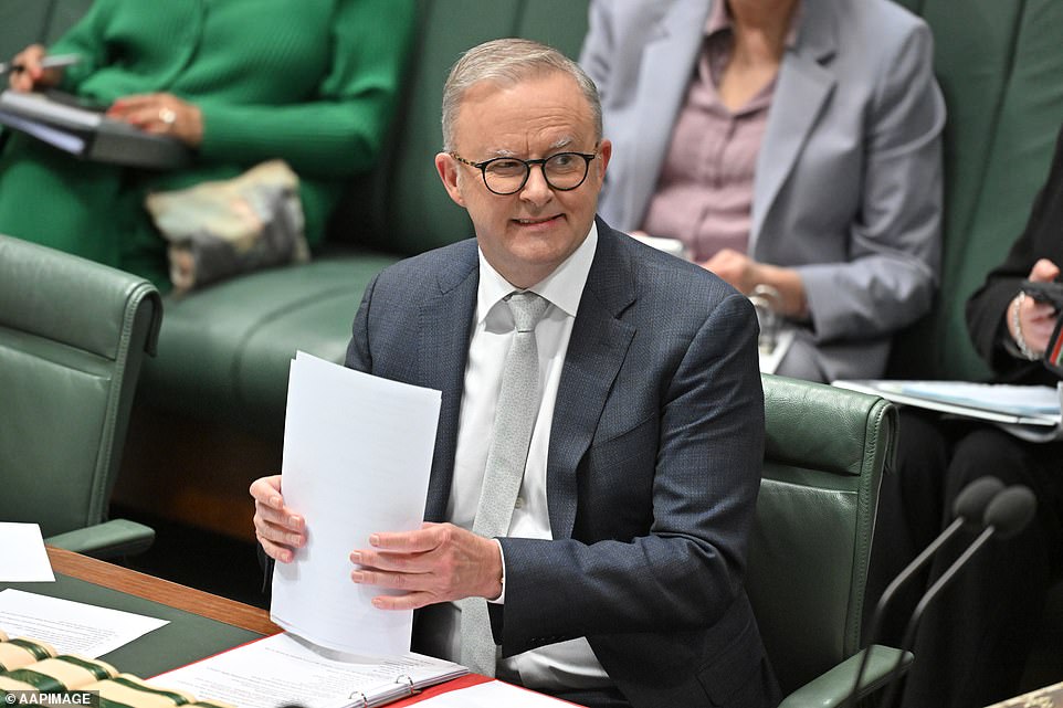 Albo 'chooses weakness' in the hope that average voters will not notice or care that the government is allowing this to happen, writes political editor Peter Van Onselen