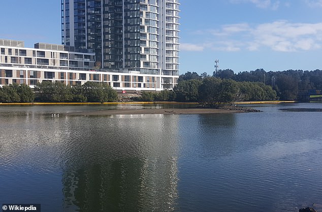 Dharawal man Gregory Andrews says Fatima Island (pictured) in the Cooks River looks like the shape of a pelican's foot when viewed on Google Earth