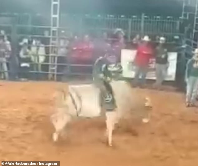 Fabiano Pinheiro was hit in the neck by the bull's hind legs at a rodeo show in Brazil on Monday night and was able to walk away on his own