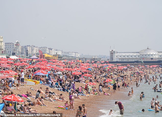 The seaside resort of Brighton and Hove (pictured) is reportedly the UK's most hectic city, with 81 per cent of residents regularly suffering from stress.