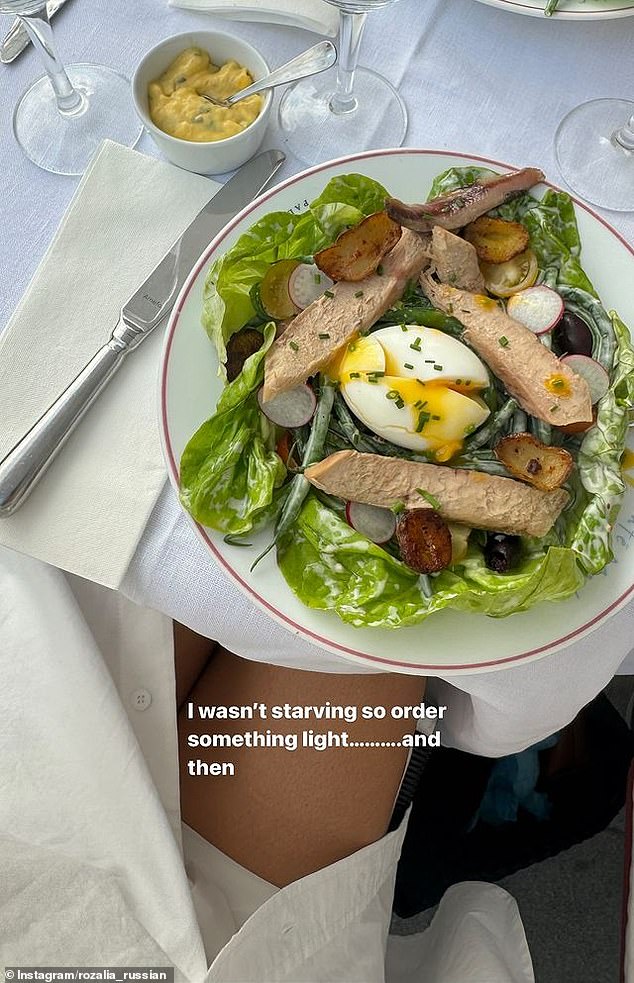 In addition to Willow's disapproval of the fancy restaurants, Rozalia also suffered from food poisoning after eating a salade Nicoise (pictured) at a Michelin-starred restaurant near the Louvre in Paris.