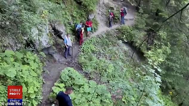 The bear first grabbed the teen's leg and pulled her off the trail before throwing her 100 yards off a cliff