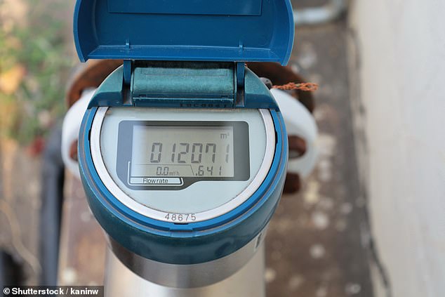 Meter ruler: Many savings on your water bill are only possible if you are one of the minority of households that has a water meter, which can keep track of exactly how much you use