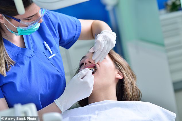 Meanwhile, more than a quarter (26.8 per cent) of those who did not attempt to visit an NHS dentist said they now go to a private dentist (stock image)