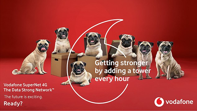 Pugs featured in Vodafone's advert for its Vodafone SuperNet 4G The Data Strong Network