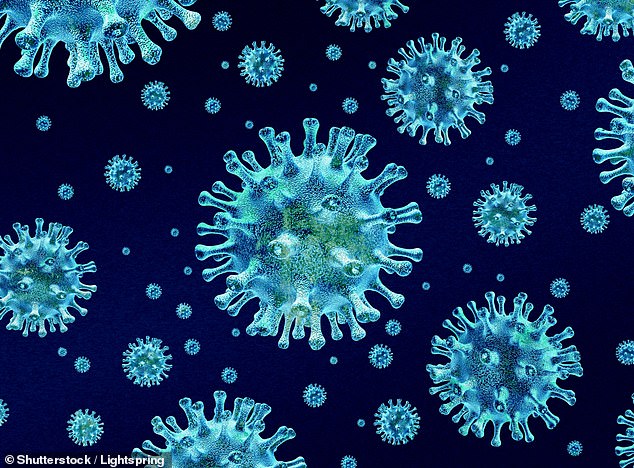 Australia has seen more than 170,000 cases of flu this year, an increase of almost 30 percent on last year (pictured shows a computer graphic of the flu virus)