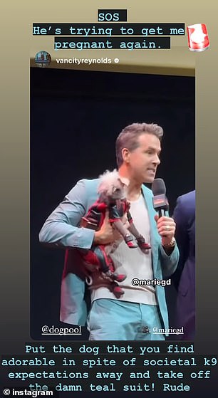 Reynolds wore a teal suit to the Deadpool & Wolverine event, holding his co-star Peggy, who has been voted Britain's ugliest dog