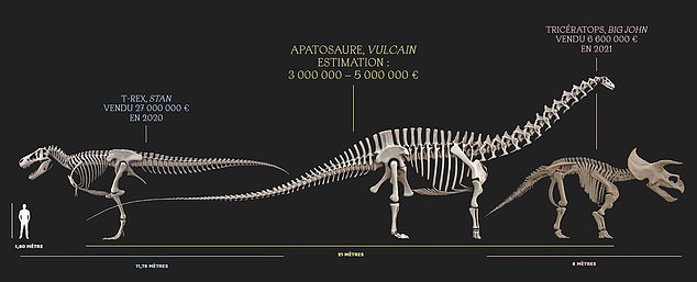 In 2020, an anonymous buyer purchased Stan, a 12-metre-long T-Rex skeleton, for more than £25 million at an auction in New York - making it the most expensive fossil to date