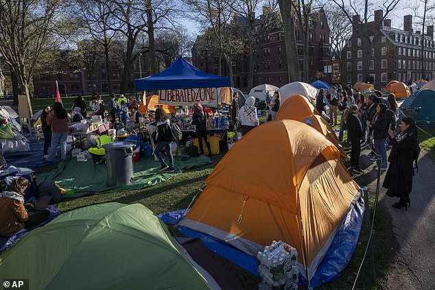 Harvard's woke wars have been most intense in the bloody conflict in Gaza. Above is a recent protest camp at Harvard University