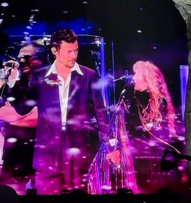 Harry joined Stevie on stage for a performance of her classic hit Stop Draggin' My Heart Around and Landslide before paying tribute to her late girlfriend