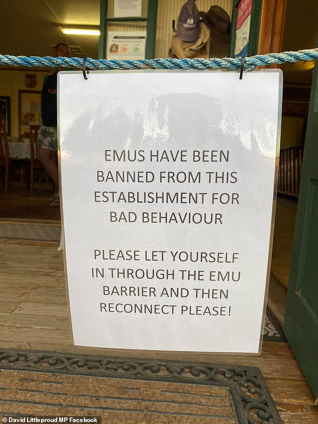 The Yaraka Hotel, in the remote orange sand desert of south-west Queensland, has erected barricades at its entrances in an attempt to stop the feathered bandits