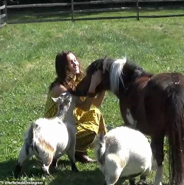 The day before, Hadid had been heavily promoting her new perfume Ôrəbella by posting a series of photos of herself at the family farm in Pennsylvania