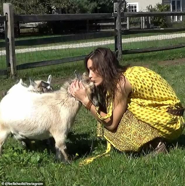 Hadid shared images of her beloved animals to further impact her brand Ôrəbella's commitment to being animal-friendly