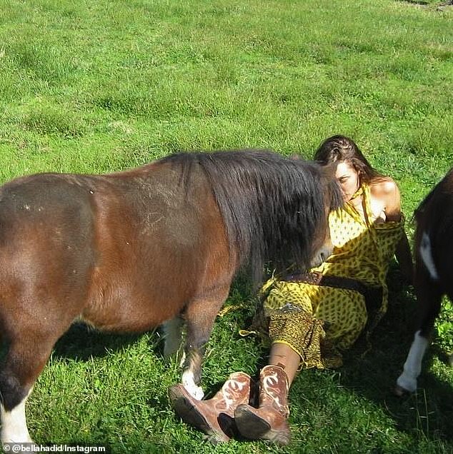 The catwalk queen stretched out on the grass as she interacted with the ponies and goats in her yellow patterned dress and brown and white cowboy boots