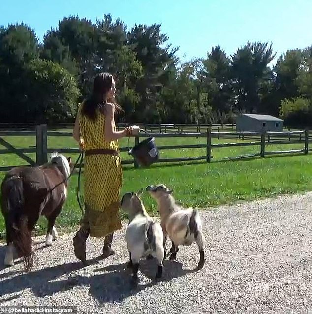 The Hadid family, especially Bella and sister Gigi, often use the farm as a retreat from the city