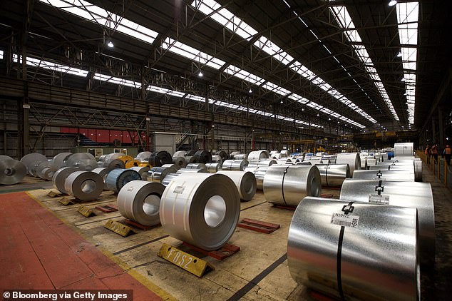 The Bluescope Steel plant (pictured) in Hastings on Victoria's Mornington Peninsula, where Pete Munyan was seriously injured in a horrific industrial accident on July 1