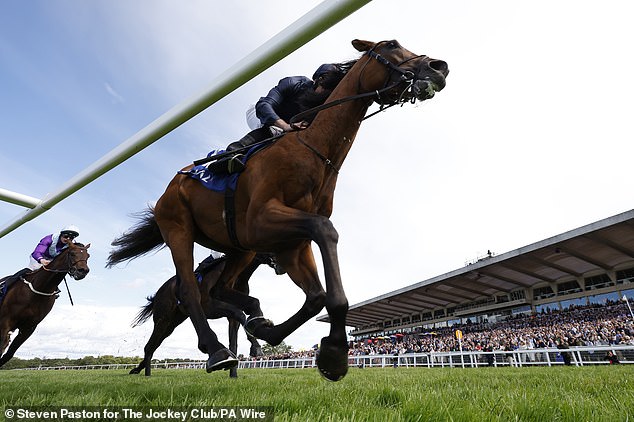 City Of Troy is a hugely exciting horse and is as physically impressive as anything in training