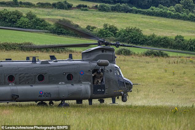 The Chinook is located in a field less than 100 metres from the busy A31 and not far from a Shell garage