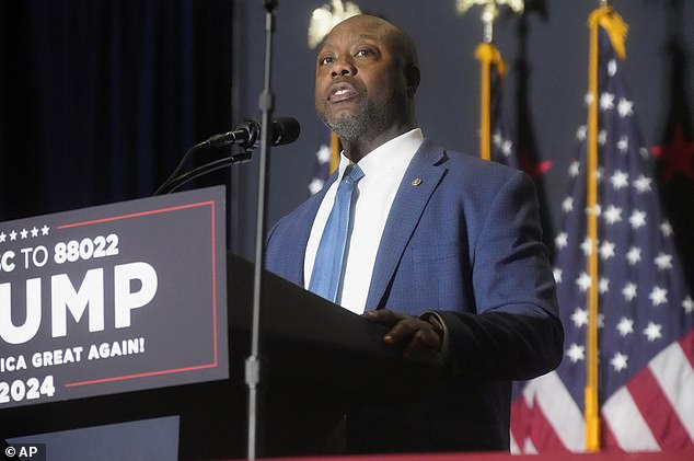 South Carolina Senator Tim Scott went after Democrats, claiming they 