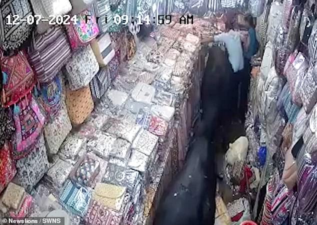 A woman dressed in a light shirt tries to escape by climbing on the merchandise