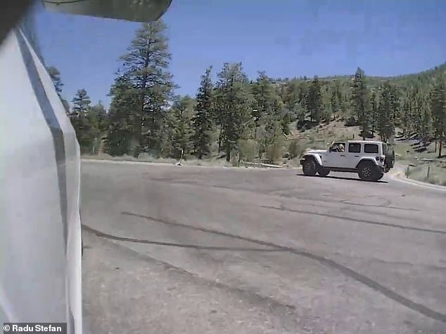 Radu then loses control of the Tesla as it spins and narrowly misses the edge of the mountain cliff, causing the Jeep driver to drive off, leaving the Stefans stranded without cell phone reception.