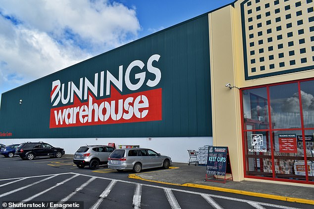 Gazania seeds are described as 'hard and tough' and sell for $5.50 at Bunnings